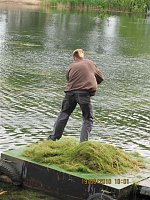 Arbeitseinsatz im Schwimmbad Bild: Arbeitseinsatz im Schwimmbad