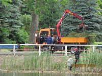 Arbeitseinsatz im Schwimmbad Bild: Arbeitseinsatz im Schwimmbad