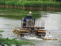 Arbeitseinsatz im Schwimmbad Bild: Arbeitseinsatz im Schwimmbad