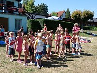 Seepferdchen erhalten Bild: Seepferdchen erhalten