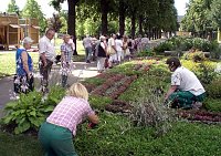 Bild: Landesgartenschau