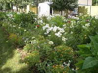 Bild: Landesgartenschau