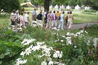 Bild: Landesgartenschau