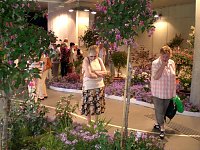Bild: Landesgartenschau