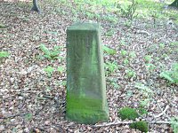 Vergessene Grenzsteine Bild: Vergessene Grenzsteine