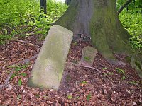 Vergessene Grenzsteine Bild: Vergessene Grenzsteine