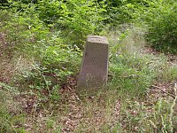 Vergessene Grenzsteine Bild: Vergessene Grenzsteine