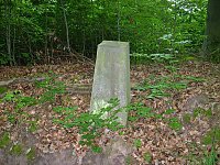 Vergessene Grenzsteine Bild: Vergessene Grenzsteine