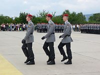 Gelöbnis Bad Frankenhausen Bild: Gelöbnis Bad Frankenhausen