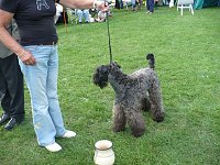 Hunde auf Possen Bild: Hunde auf Possen