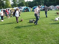 Hunde auf Possen Bild: Hunde auf Possen