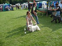 Hunde auf Possen Bild: Hunde auf Possen