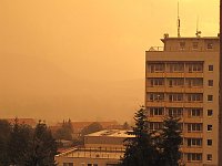 Bild: Orangefarbene Welt