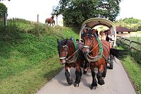 Bild: Fahrt nach Falkenstein