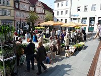 Bild: Herbstpflanzenmarkt