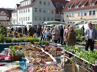 Bild: Herbstpflanzenmarkt
