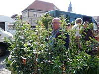 Bild: Herbstpflanzenmarkt