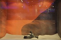 Bild: Photokina 2010