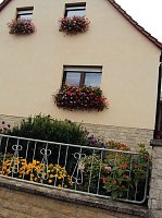 Bild: Frankenh&auml;user Bl&uuml;tensommer