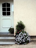 Bild: Frankenh&auml;user Bl&uuml;tensommer