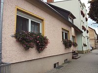 Bild: Frankenh&auml;user Bl&uuml;tensommer