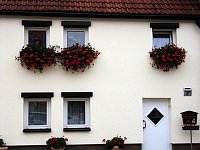 Bild: Frankenh&auml;user Bl&uuml;tensommer