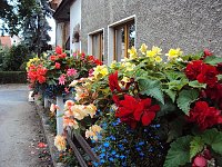 Bild: Frankenh&auml;user Bl&uuml;tensommer