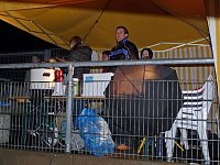 Bild: Flutlichtturnier G&ouml;ldner
