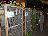 Bild: Vogelausstellung in Sondershausen