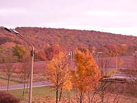 Bild: G&uuml;ldener Herbst
