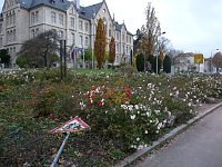 Bild: Legende Stadtcaf&eacute; Sondershausen wiederer&ouml;ffnet