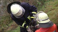 Bild: Abgesoffen