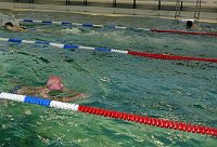 Bild: 24 Stunden Schwimmen begonnen