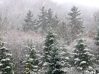Bild: Winteranfang