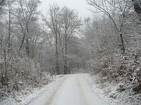 Bild: Winteranfang