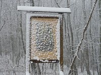 Bild: Winteranfang