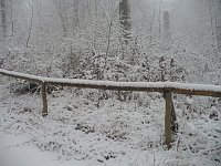 Bild: Winteranfang