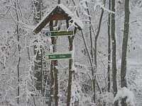Bild: Winteranfang