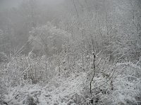Bild: Winteranfang