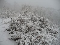 Bild: Winteranfang
