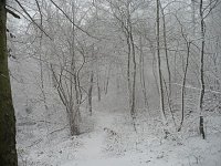 Bild: Winteranfang