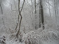 Bild: Winteranfang