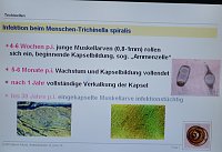 Bild: Trichinenlabor offen