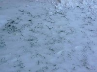 Bild: Schneeh&ouml;he &Ouml;stertal