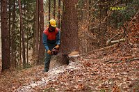 Bild: Aus- und Weiterbildung von Waldbesitzern