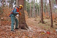 Bild: Aus- und Weiterbildung von Waldbesitzern