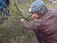Bild: Baumschnittseminar