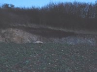 Bild: Erdfall Bad Frankenhausen
