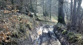 Bild: Steinberg-Rundweg vorl&auml;ufig meiden