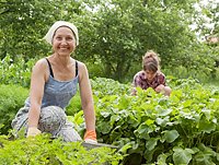 Bild: Ausbildung in den Gr&uuml;nen Berufen